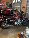 IMG_1519.jpeg